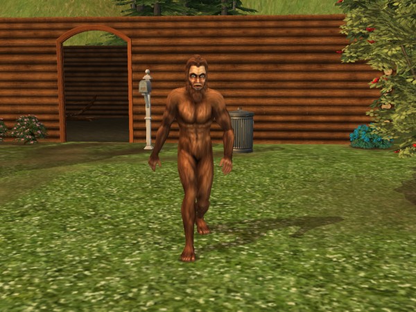 snapshot-13eb6cb5-93eb7ad2.jpg