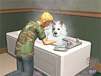 05s.jpg